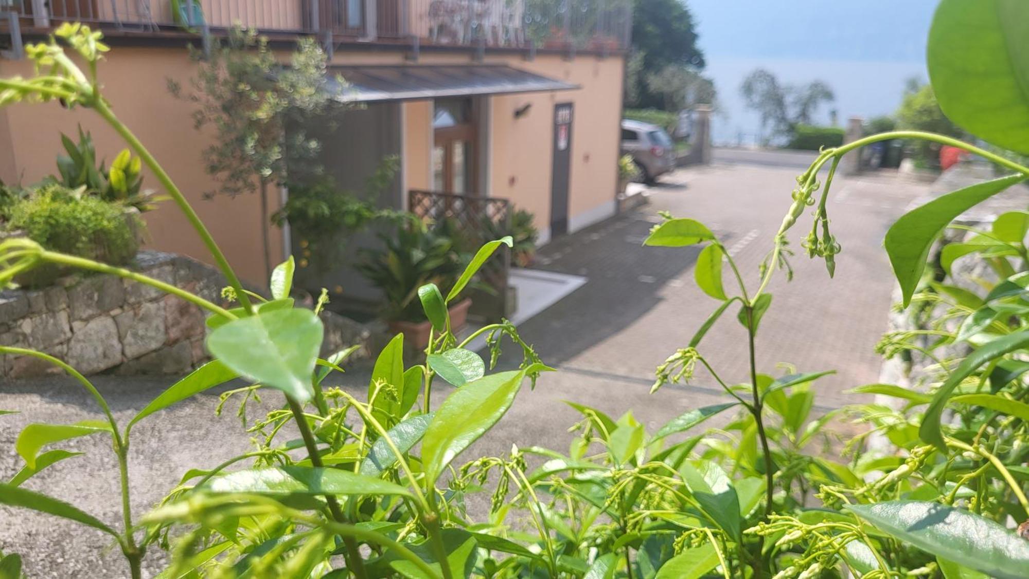 Residence Villa Margherita ブレンゾーネ エクステリア 写真